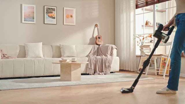 Sanovy video preview